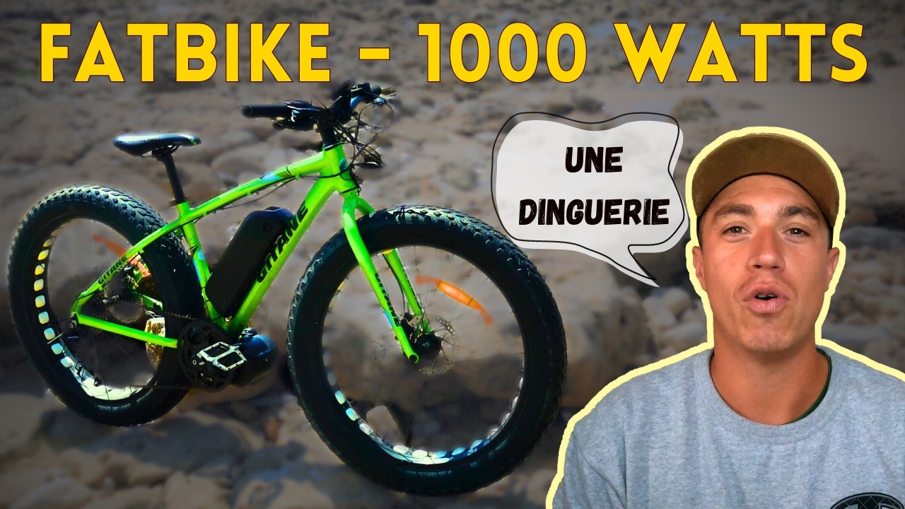 CONSTRUIRE le vélo électrique ULTIME - Moteur à capteur de couple de 1000W: le TOSEVEN DM01