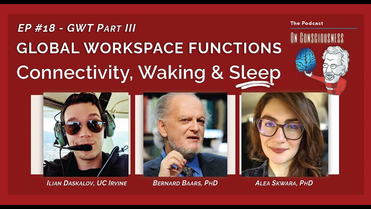 #18 &mdash; Global Workspace Functions, the Brain & Consciousness: Connectivity, Waking, & Sleep - Part 3