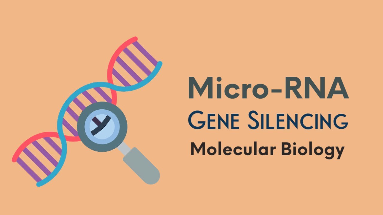 miRNA | gene silencing | Molecular biology