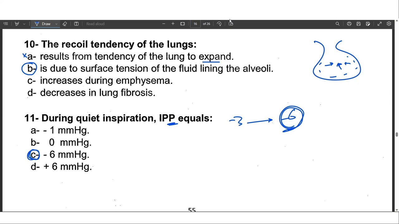 Respiration MCQs - 2023