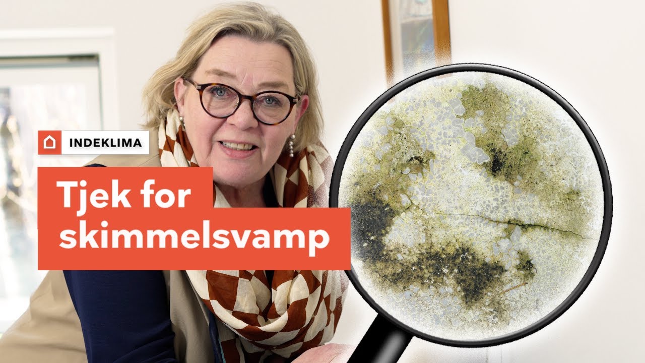 Tjek for skimmelsvamp