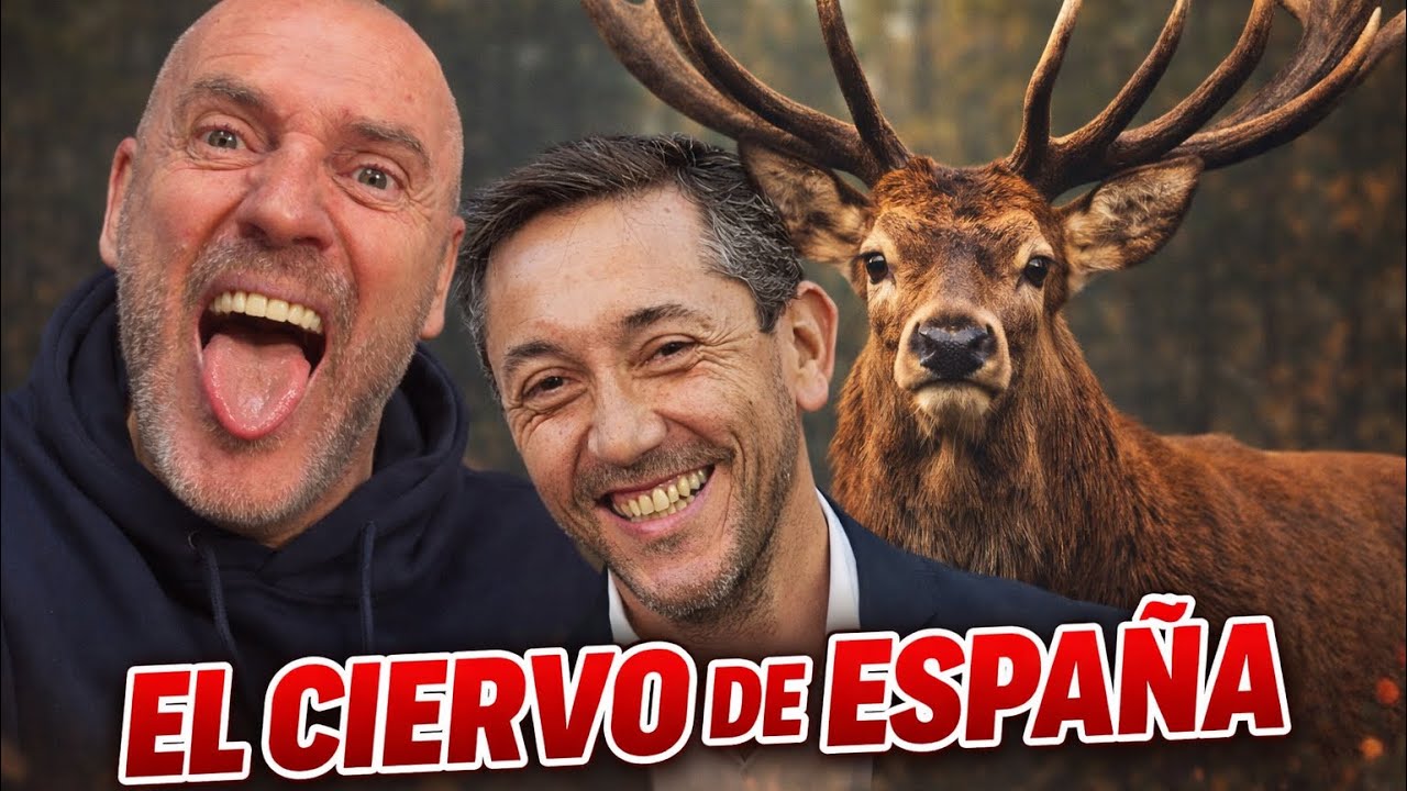 EL CIERVO DE ESPAÑA 