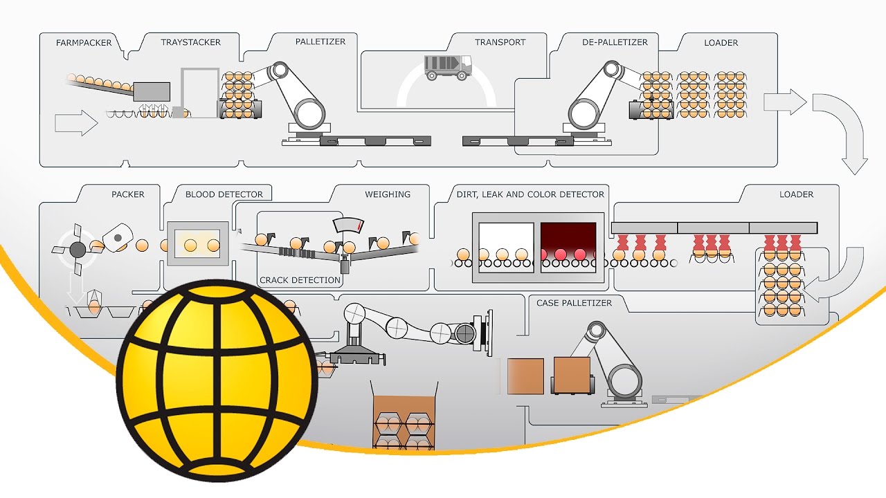 Egg grading process - Flowchart of an egg grading station - Egg Production Flow Chart