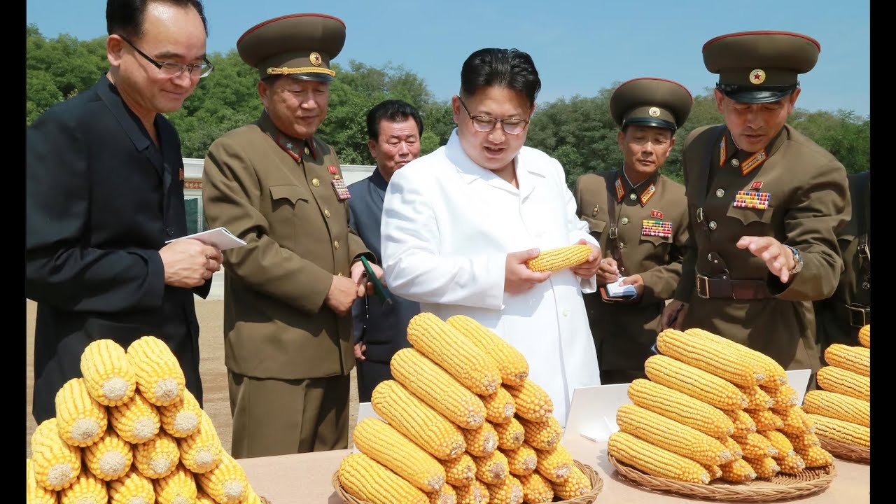 Kim's Corncob Collection & Direction - Pirated North Korean TV Broadcast