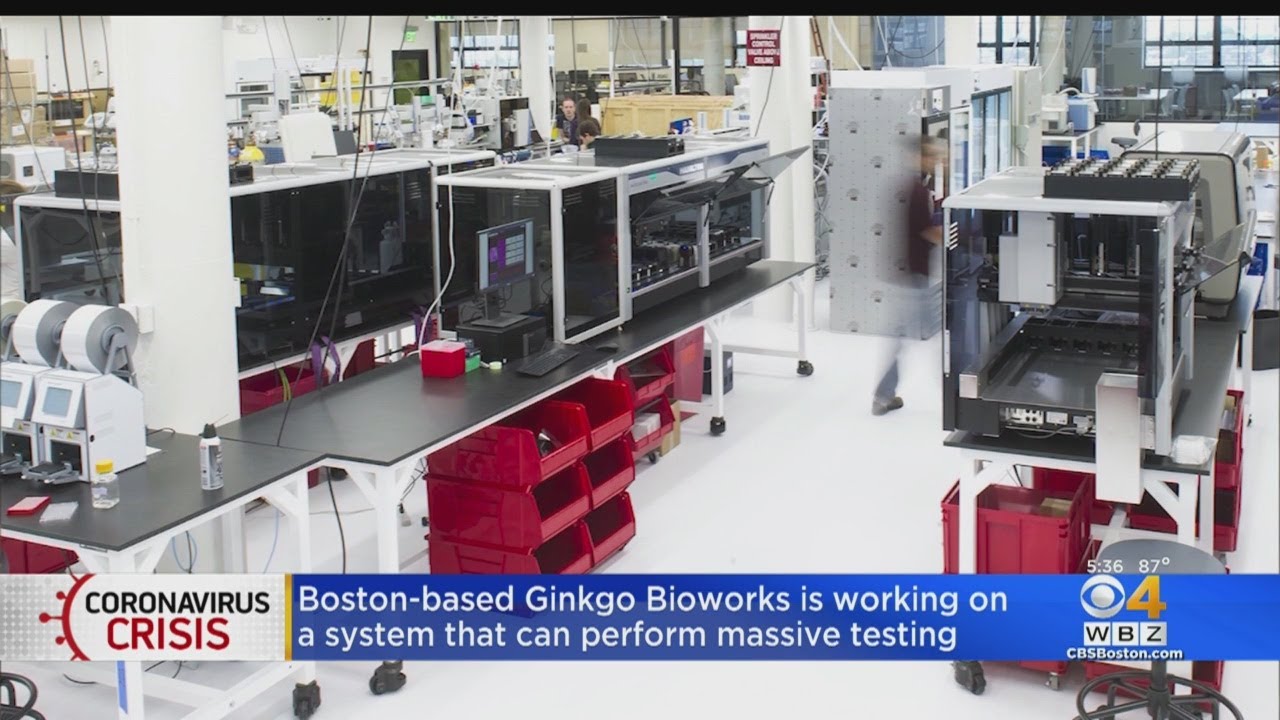 Ginkgo Bioworks Working On System For Massive Coronavirus Testing