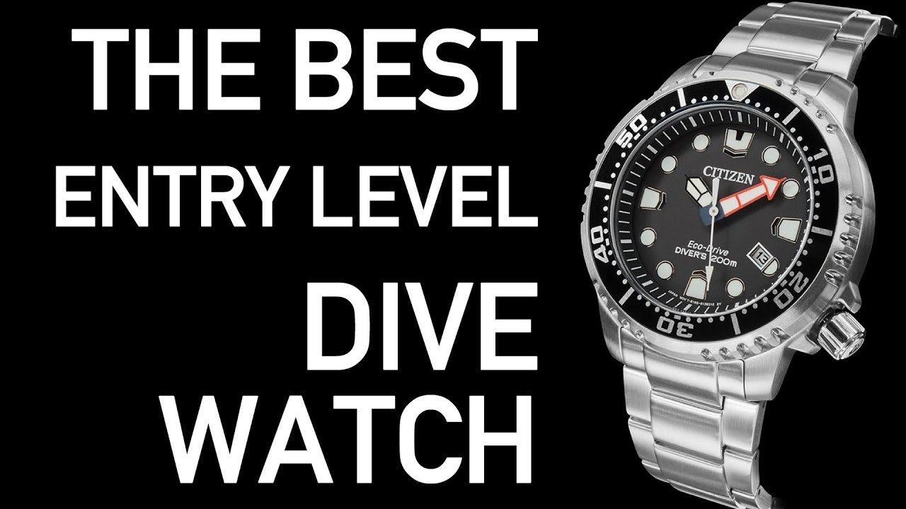What is the BEST Entry Level Dive Watch | Citizen Promaster Diver BN0150 Review