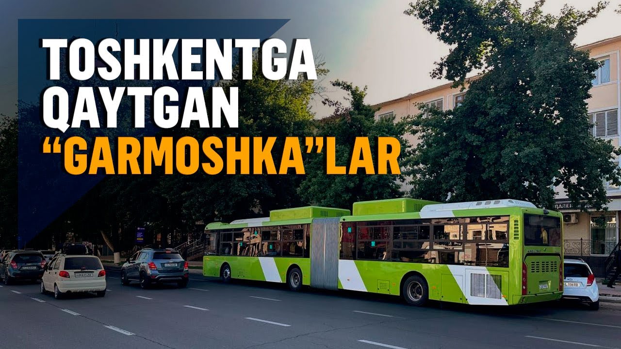 No Comment: Toshkentga qaytgan “garmoshka” avtobuslar