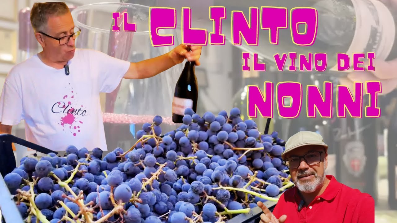 La Vendemmia del Clinto, il Vino dei Nonni