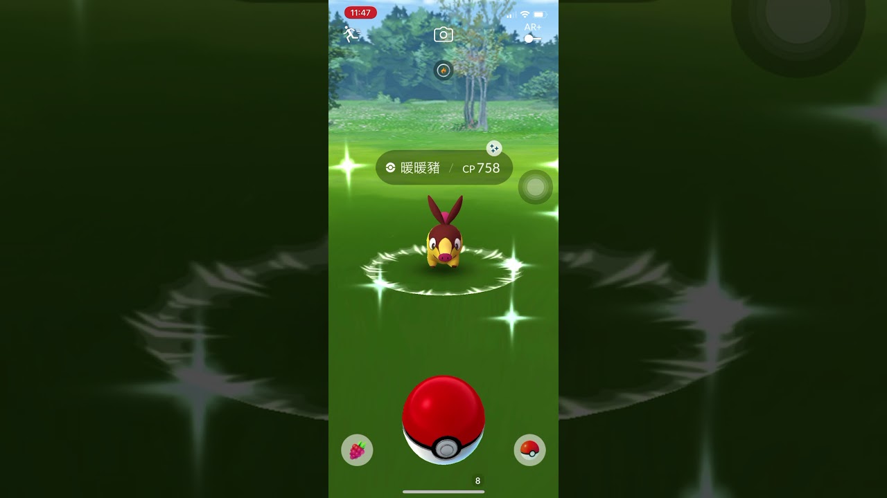 Pok&eacute;mon Go Shiny 暖暖豬 ポカブ Tepig