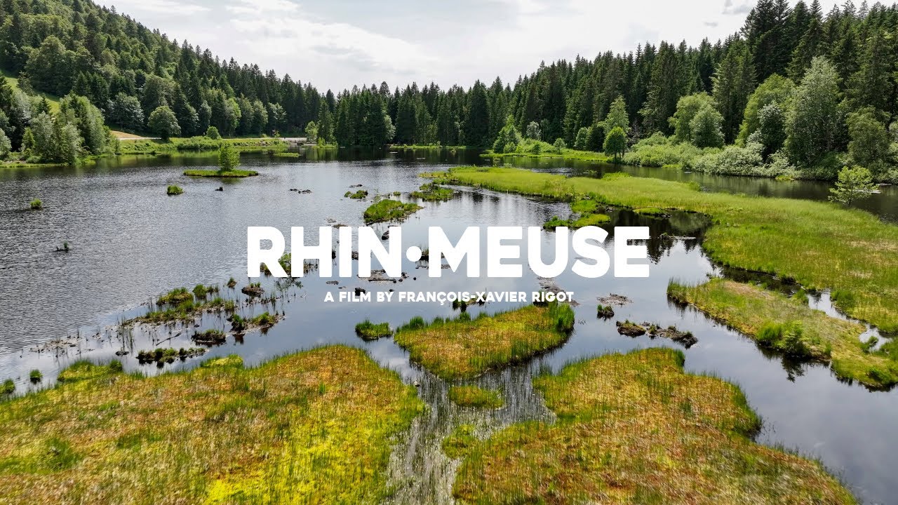 Rhine-Meuse / the documentary
