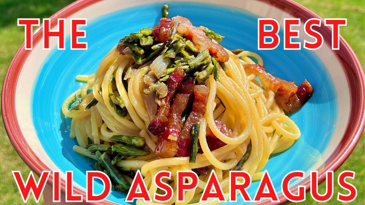 Wild Asparagus and Guanciale Pasta