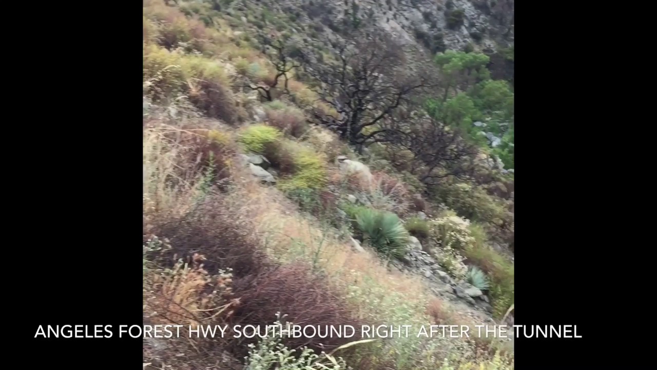 Los Angeles Crest Highway Accidents and Crashes.