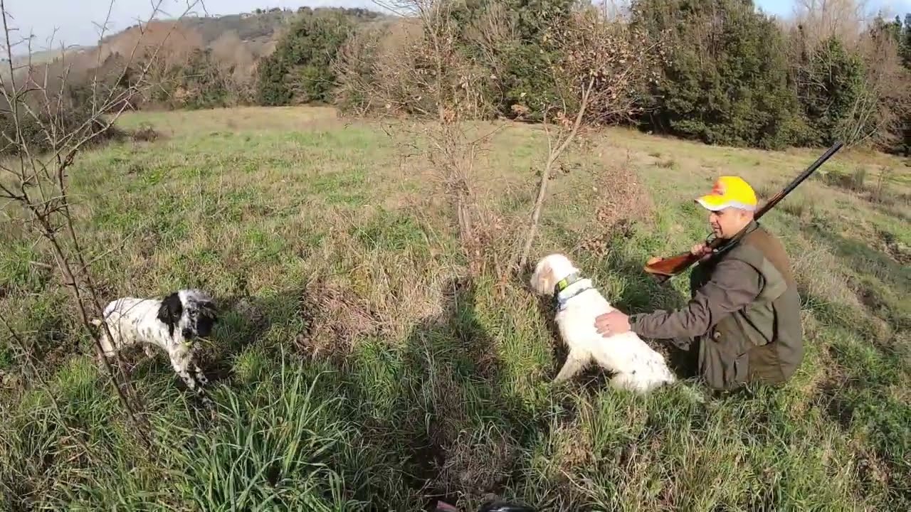 PARTE 1_Pernici con i Setter Inglesi_7 mar 2026