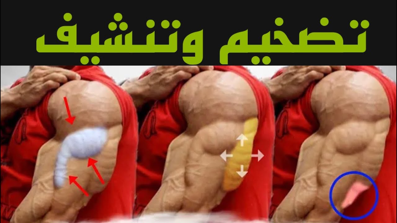 تمارين ترايسيبس تضمن لك ضخامة خارقة في وقت خيالي 💪🏽 #تمارين_#عضلات_#ترايسيبس_