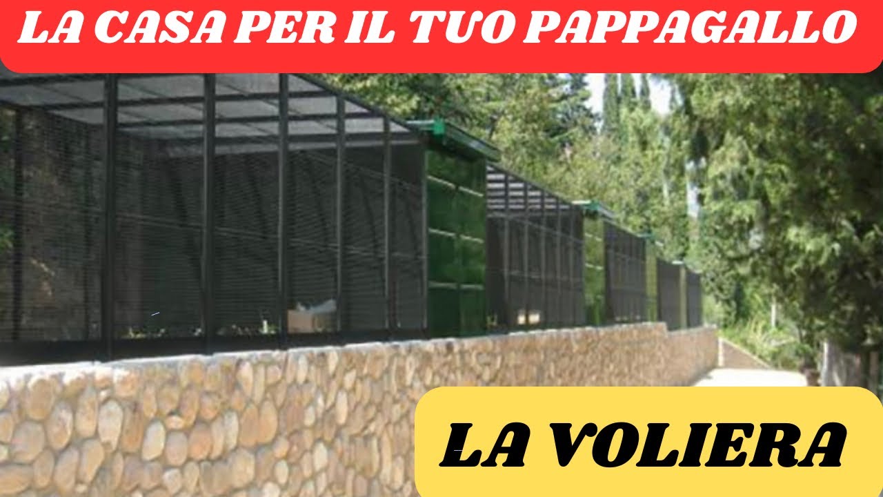 La voliera: la casa per il tuo pappagallo. Pannelli modulari e mangiatoie girevoli Bemag.