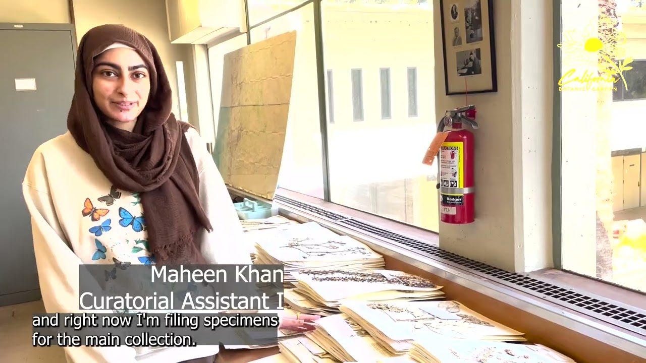 CalBG Herbarium - A Day in the Life