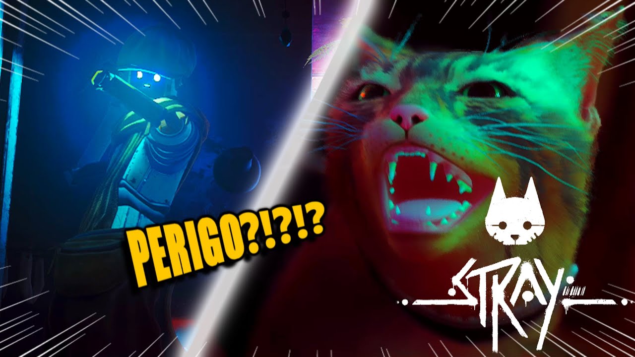 FOMOS ATACADOS??? | Stray #14