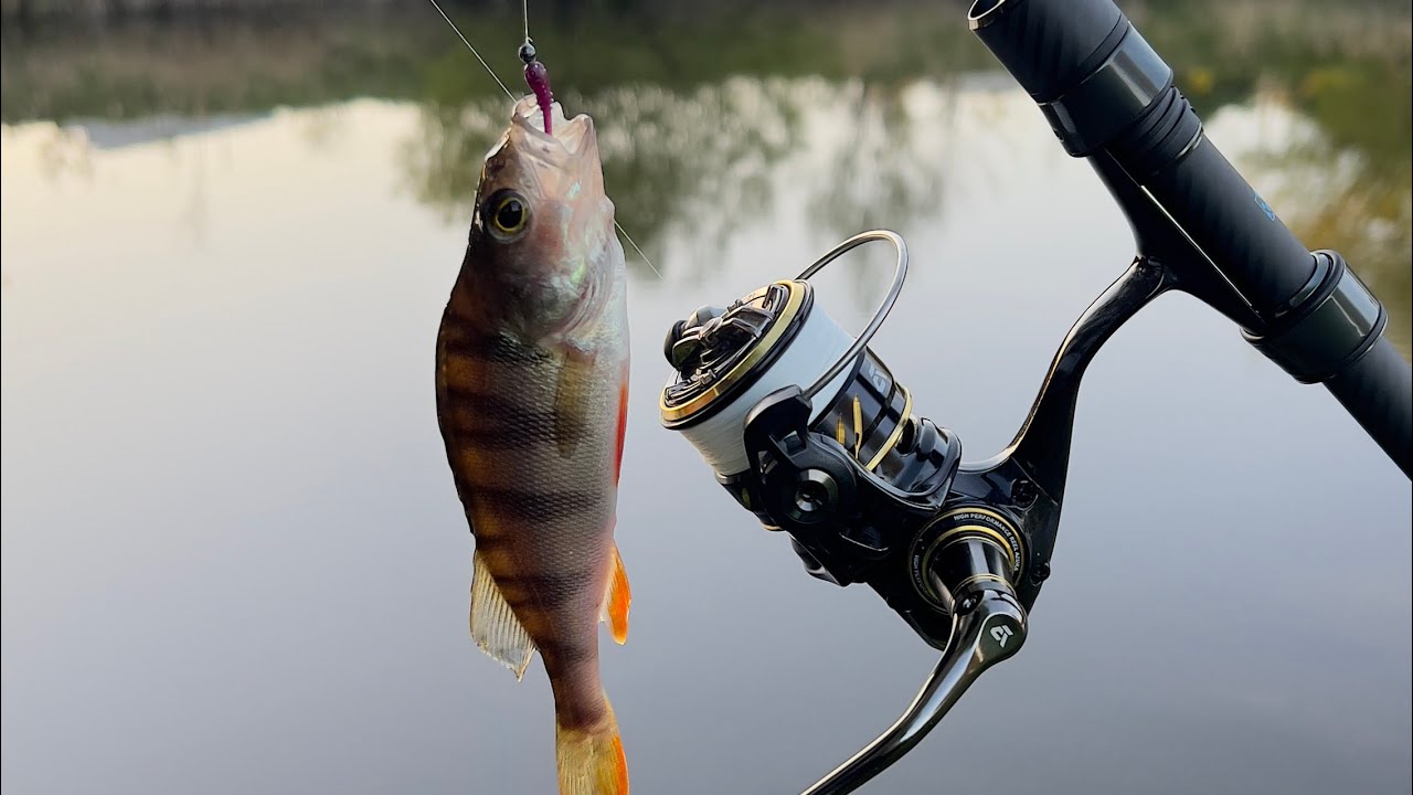 Обзор Спиннинга MIFINE NANO JIG ZERO 0.2-0.8g 168 см,карась как бонус.