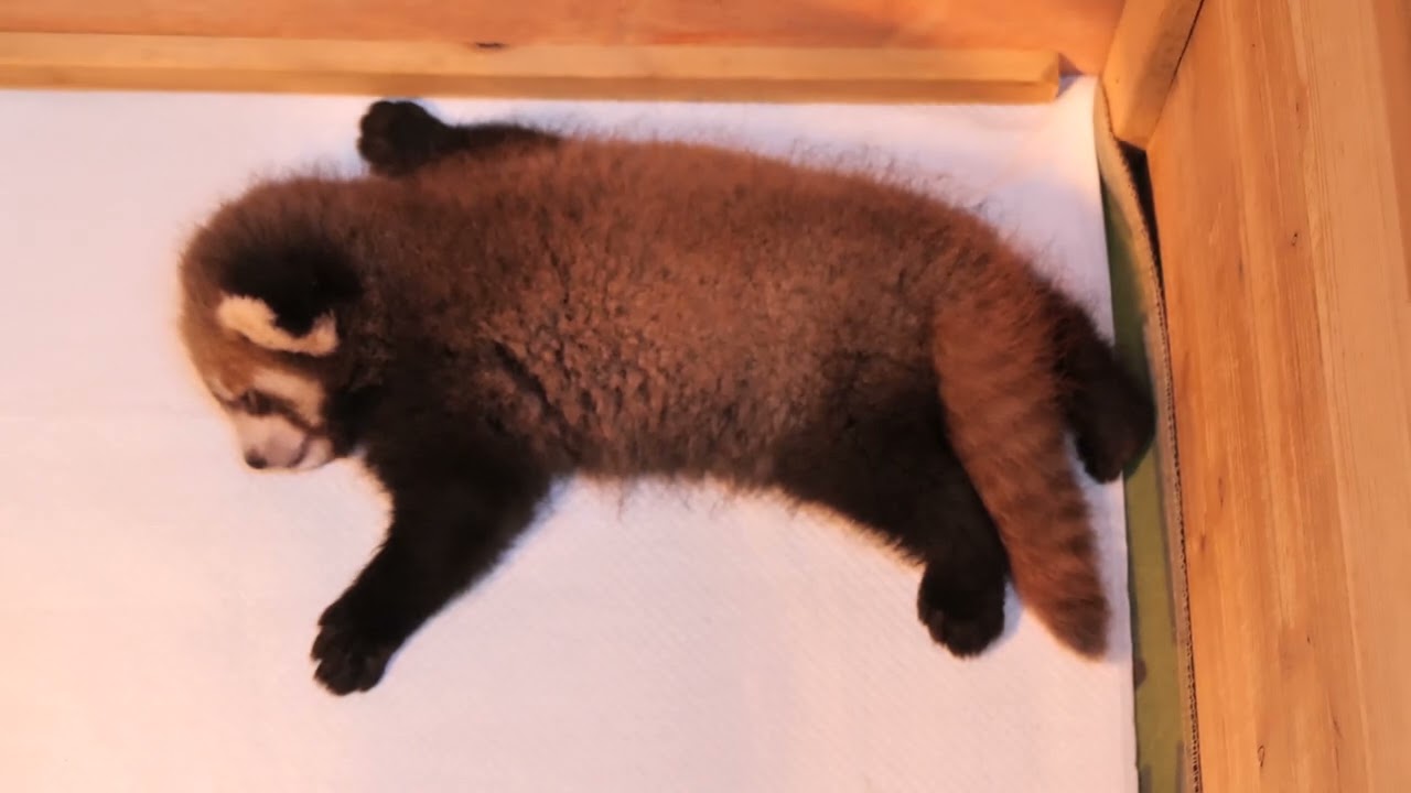 Baby is asleep