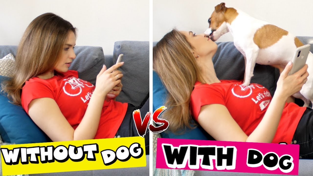 LIFE WITH VS. WITHOUT DOG