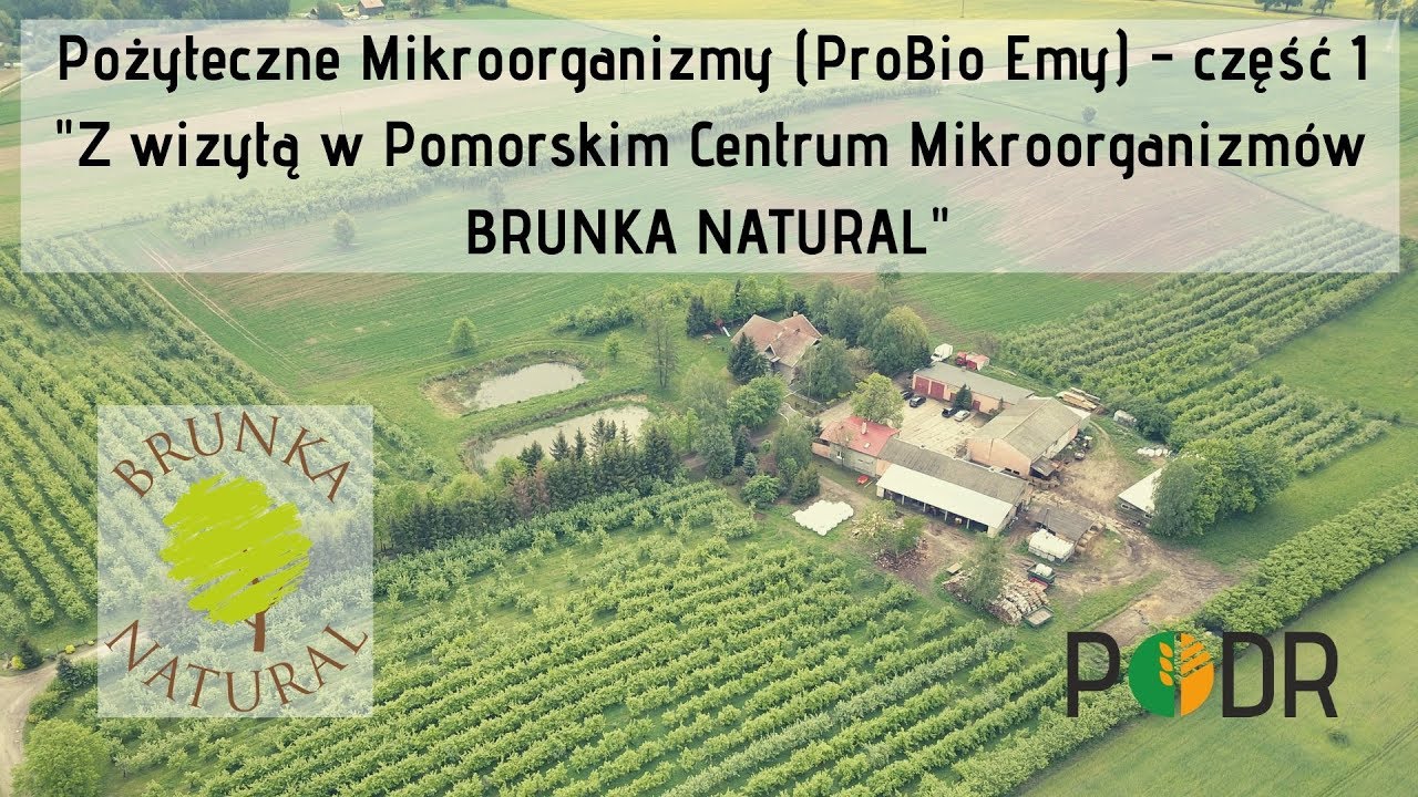 (ARCHIWUM 2019)Pożyteczne Mikroorganizmy-