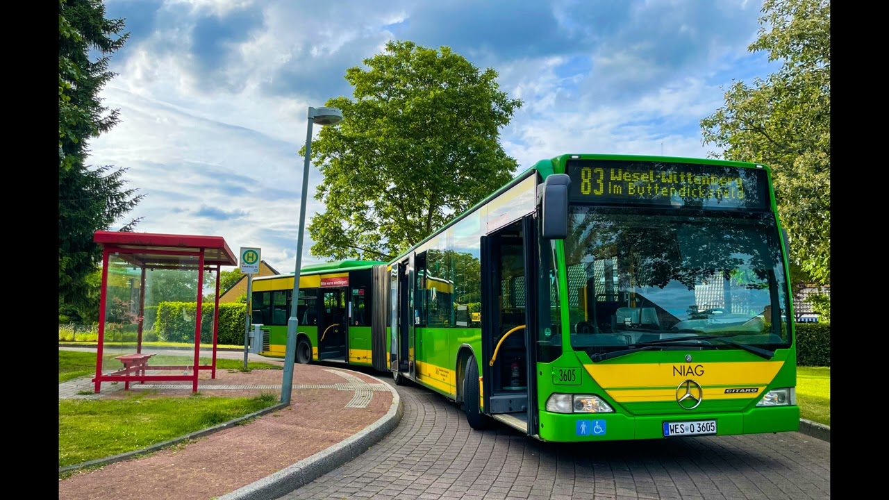 NIAG 3605 - Mercedes-Benz Citaro G (ZF Ecomat kickdown)