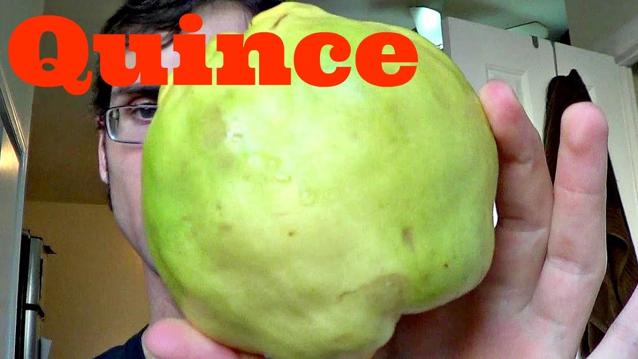 Обзор айвы (+рецепт айвового сыра) Weird Fruit Explorer, выпуск 122