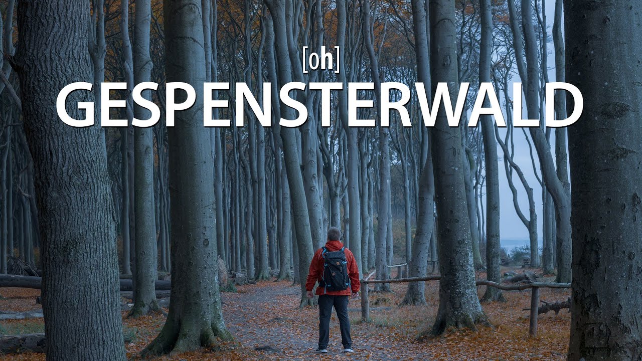 Der Gespensterwald an der Ostsee - Landschaftsfotografie mit Nikon Z7
