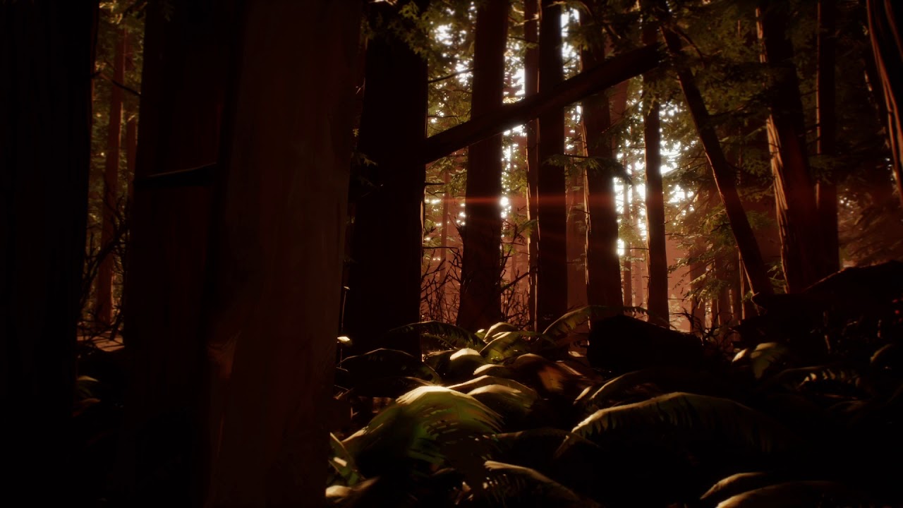 Video Game Ambience Asmr - (Life is Strange 2) Forest Sunset | Relaxing Nature Sounds