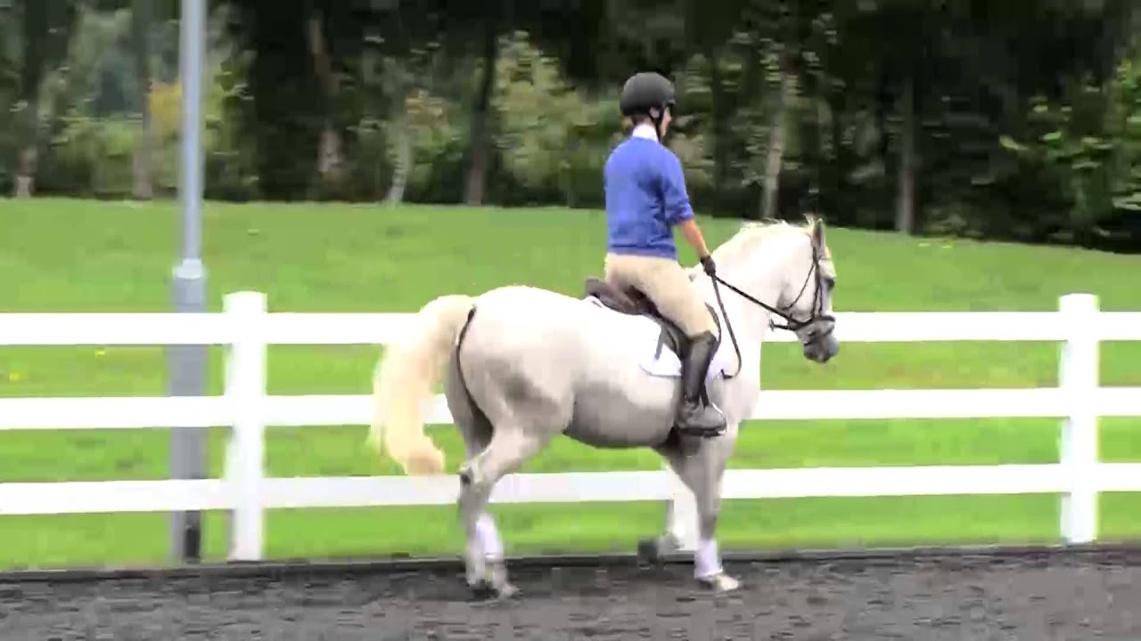 Riding Simple School Movements