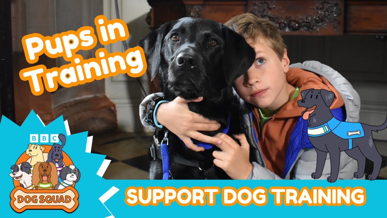 Puppy Elvis saves the day! | Support Dog Training | Super Hero Assistance Dogs | Dog Squad |CBeebies