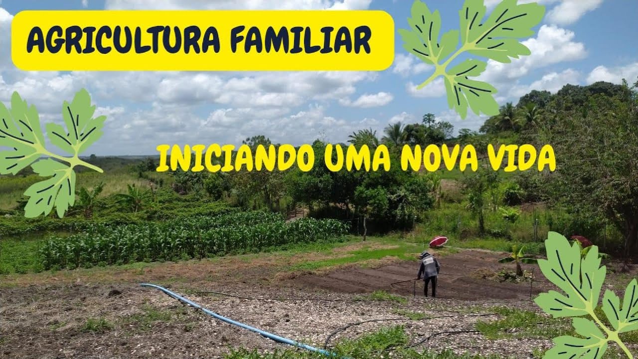 iniciando a vida na roça