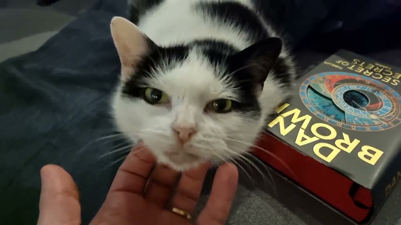 Book, Loaf and Chin Scratchies