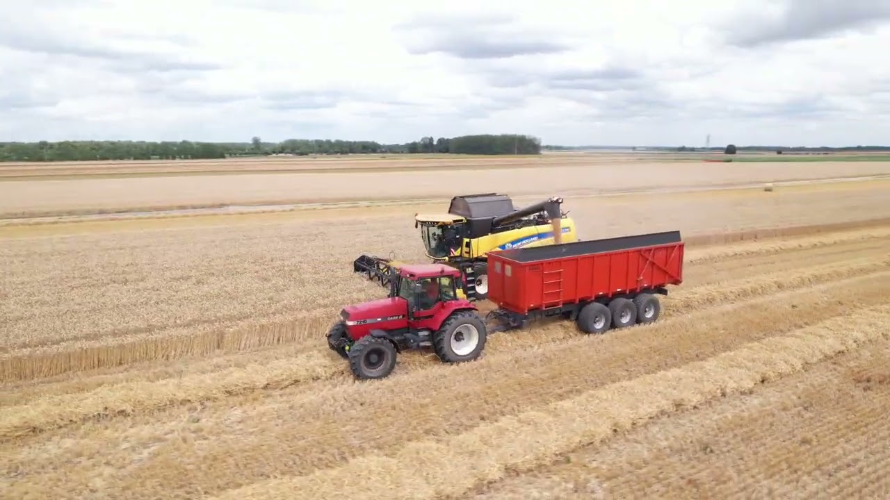 La moisson bat son plein 2023 D O