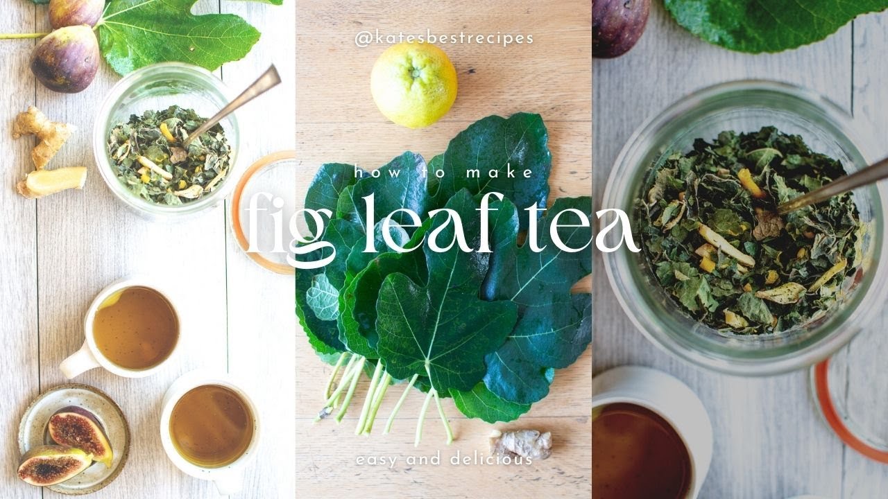 How To Make Fig Leaf Tea From Fresh Fig Leaves&mdash;Super Easy, Incredibly Good For You and Delicious!