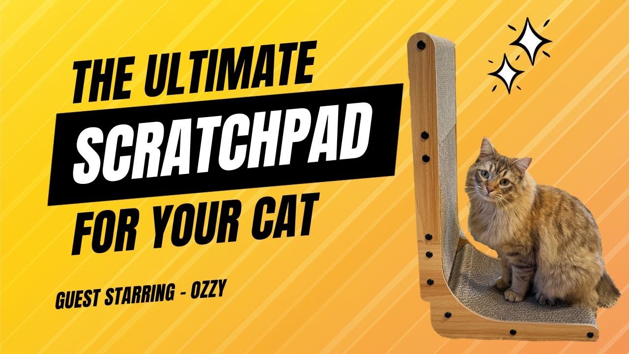 Poils bebe L Shape Cat Scratcher build with Ozzy