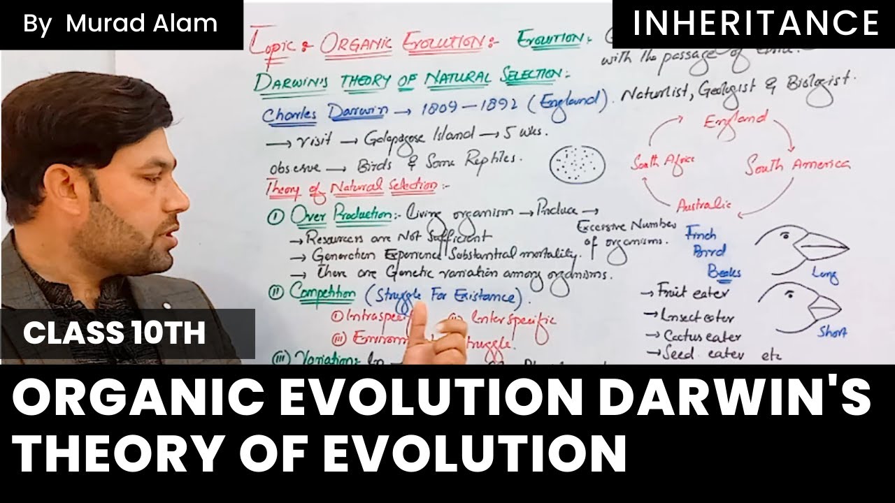 Organic Evolution Darwin's theory of evolution l Biology 10th in Urdu/Hindi l Ch: Inheritance