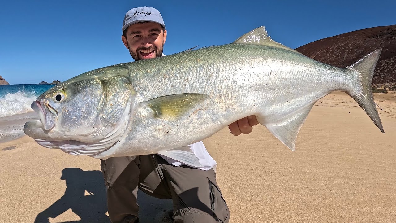 Pescando nell'Isola: Pesce Serra e Palamita Record.