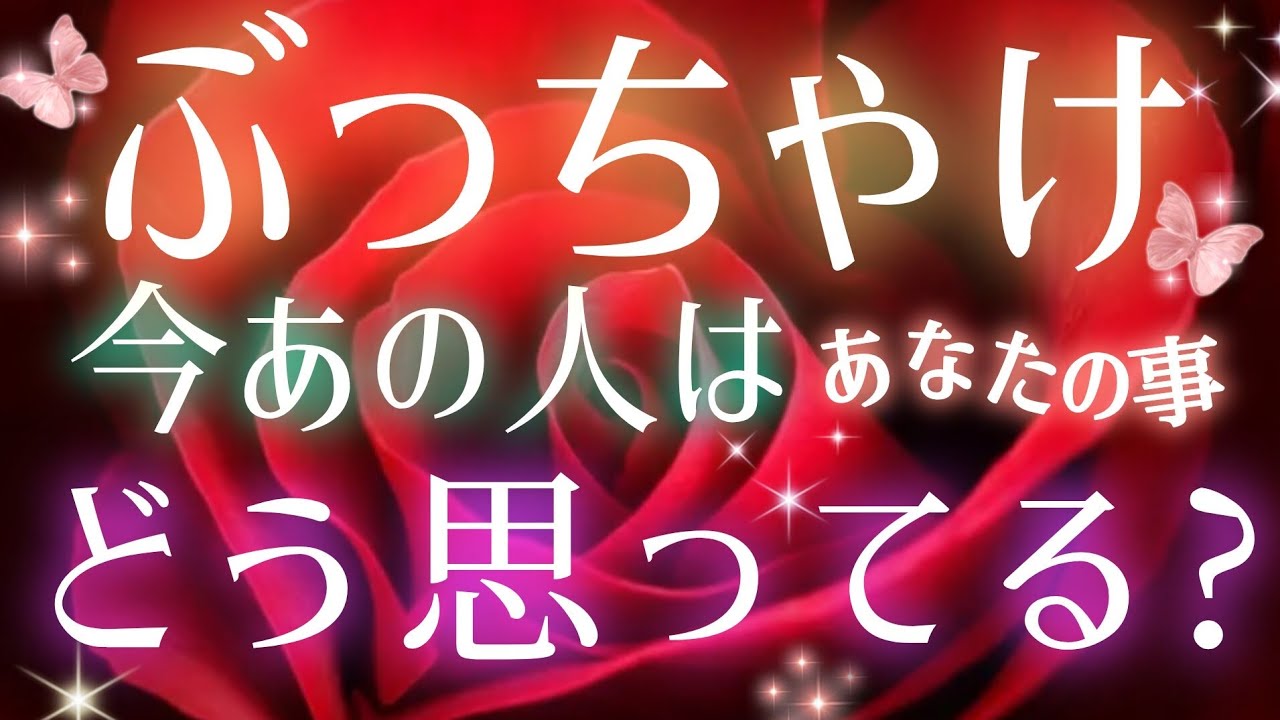 ハッキリと教えてくれました🧚🩵🩷ぶっちゃけ今あの人は私＆僕の事をどう思ってる？🌈タロット&オラクル恋愛鑑定🩷🩵💛
