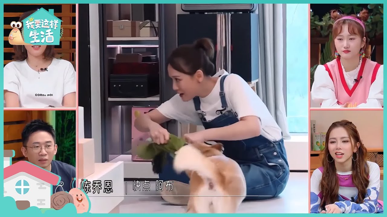 陈乔恩为安抚狗使出浑身解数  一只受宠的狗到底有多少个名字？ 陈乔恩攒局与好友一同包家乡粽| 我要这样子生活 EP9下 |  I want to live like this | iQIYI综艺