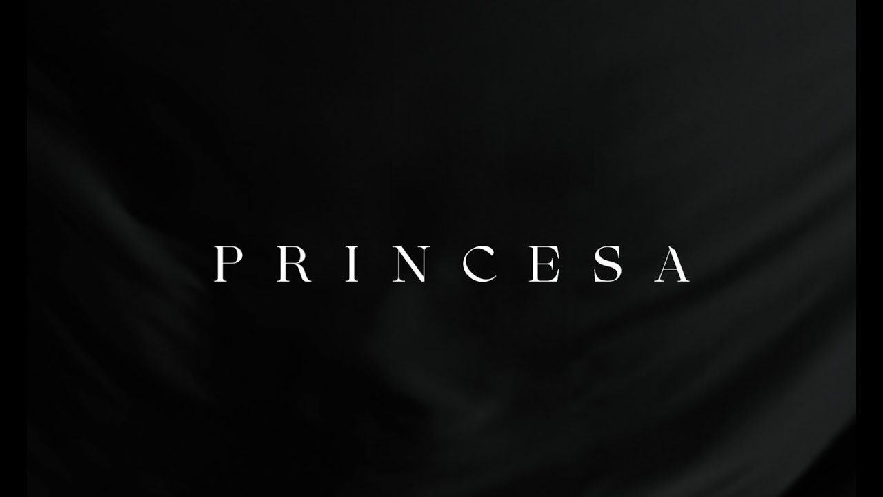 Fondo Flamenco - Princesa 2022 (VideoLyric)
