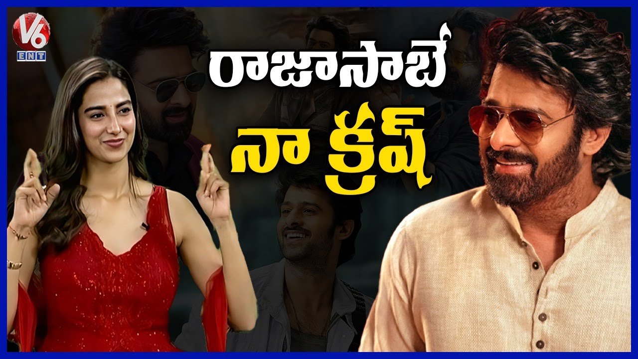 Meenakshi Chaudhary Reveals Her Celebrity Crush's Name | Prabhas | V6 Entertainment
