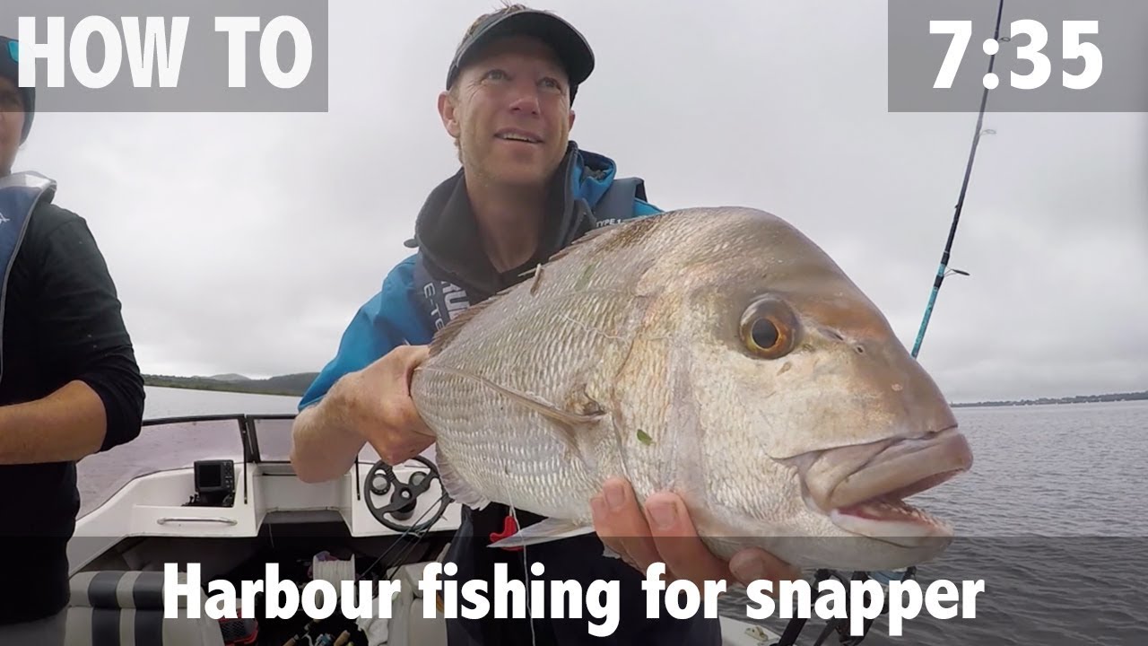 Harbour Fishing for Snapper