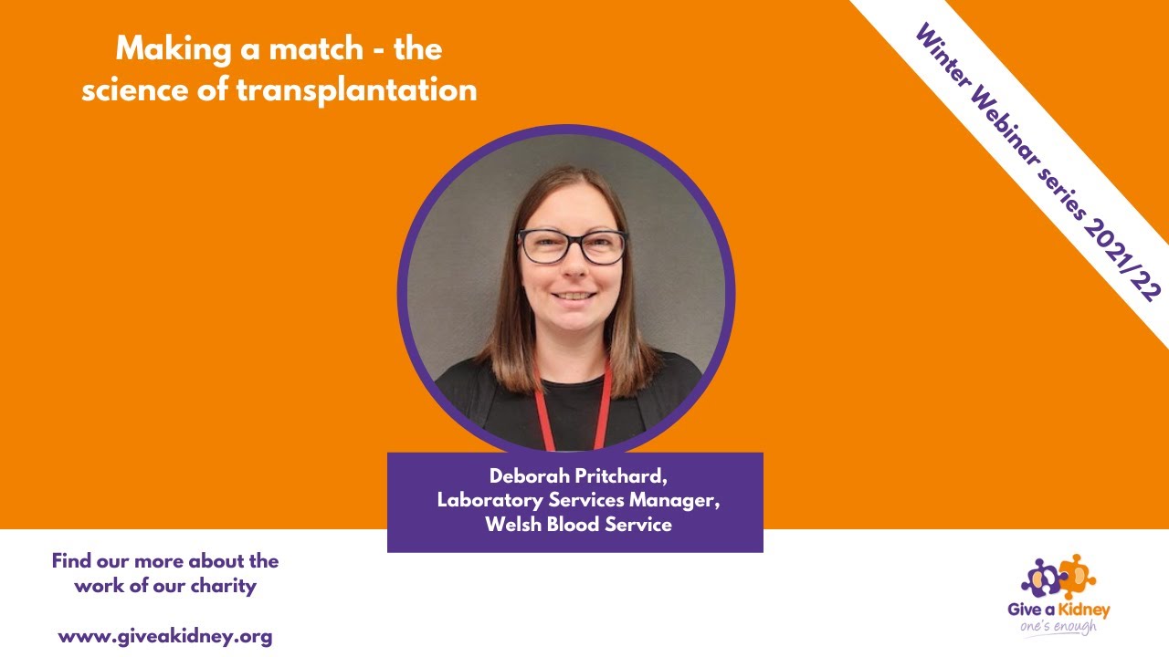 Making a Match The Science of Kidney Transplants