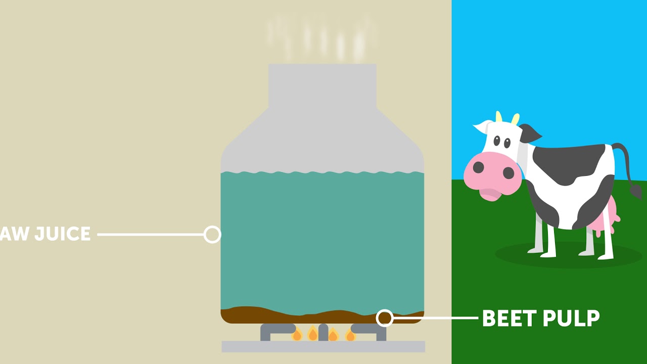 How is granulated sugar made?