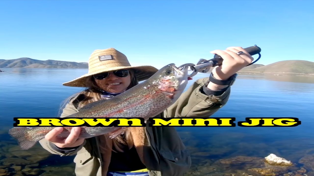 SIGHT FISHING FOR TROUT | LIGHTNING TROUT | RAINBOW TROUT | TROUT FISHING #shorts