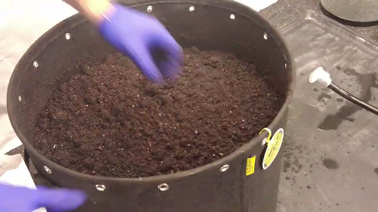 25 gal fabric pots