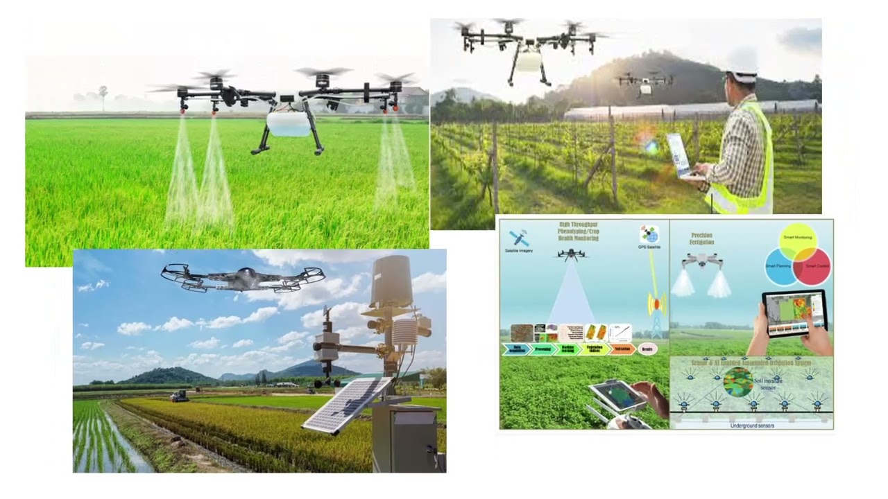 Sustainable Cultivation and Plantation