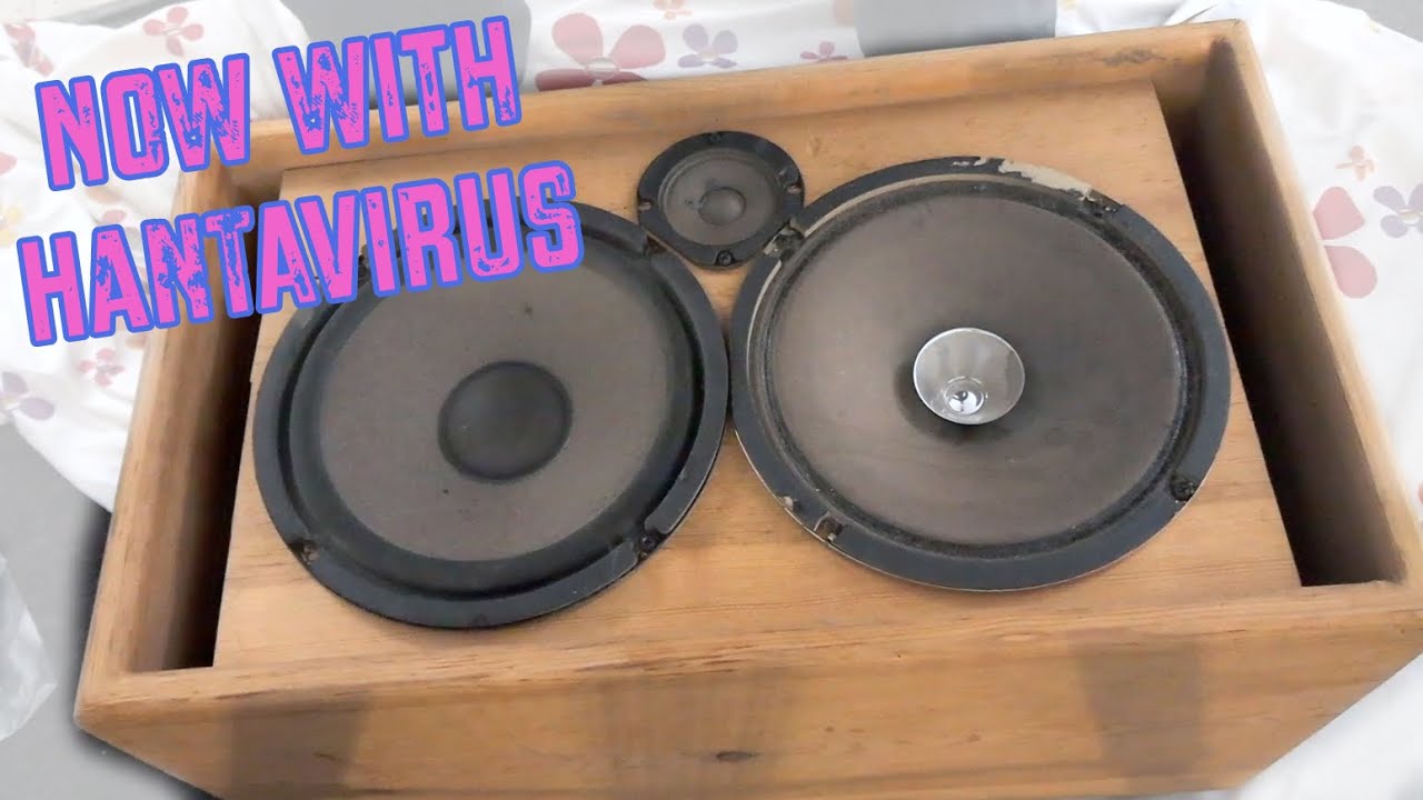 Reviving A Pair of Wacky Home Built Speakers \\ Shock Hazard Corner