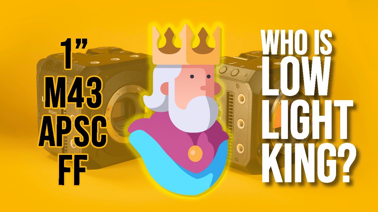 Bigger sensor = Better Low Light Performance? Maybe Not